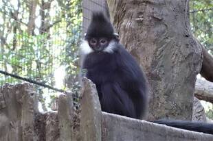 展示をお休みしている訳は・・・