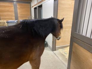 朝ごはんを求めて