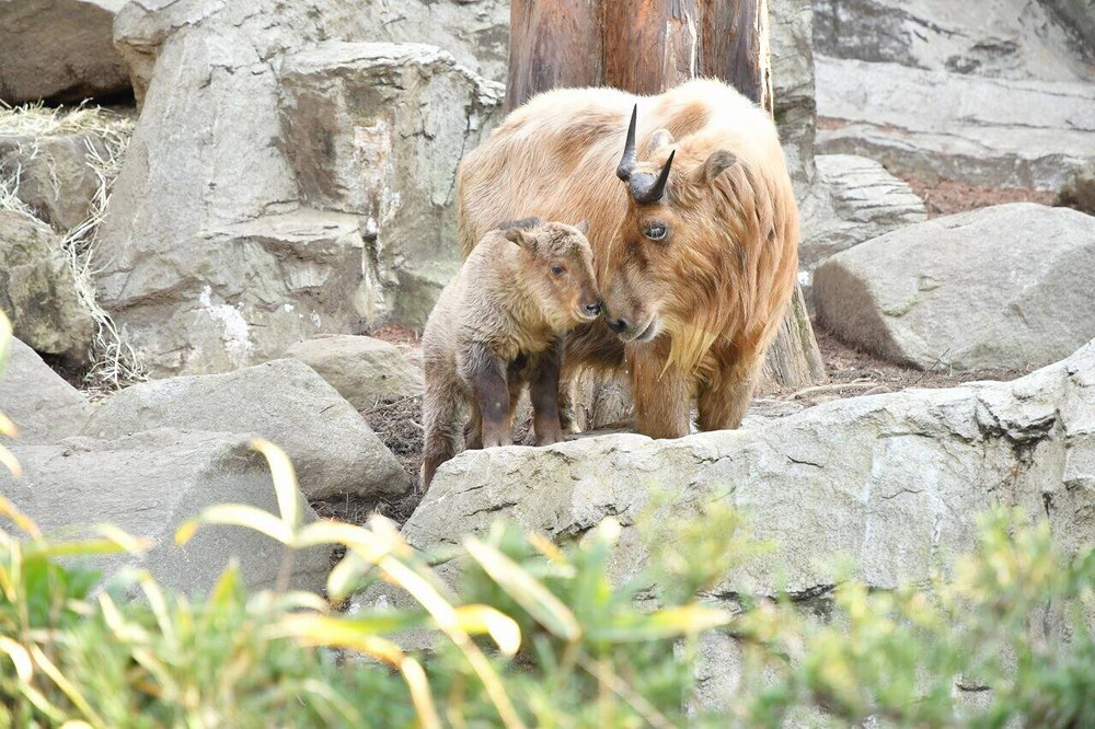 愛称決まりましたの写真