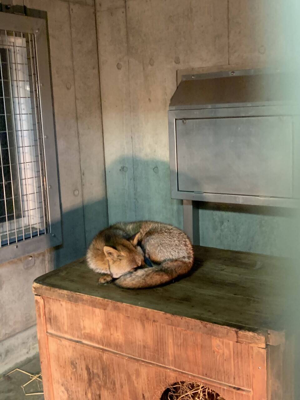 雨の日のお客様の写真