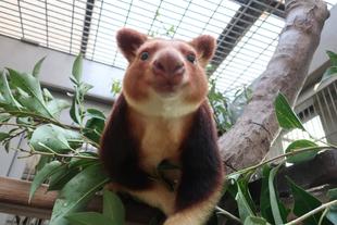 あっという間の