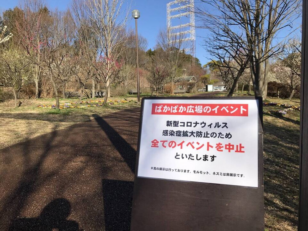 おしらせの写真