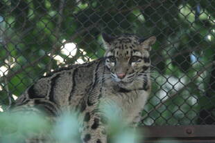 暖かい日には、会えるかも？