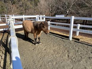 毎朝のルーティーン