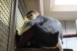 寝姿いろいろ。