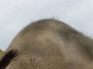 天気が良い日は。