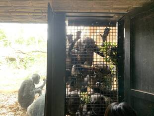 待ちに待った！