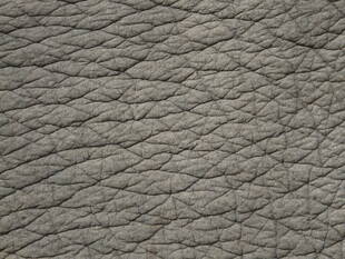 寒い日はひなたぼっこで。