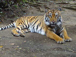 ラウトの状況-④