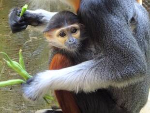 ♪ハーフバースデー♪