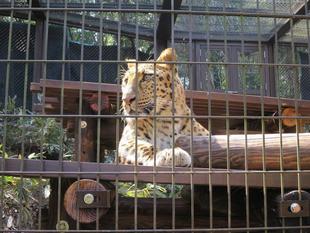 ダッシュの新しい・・・☆