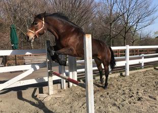 ソフィア、ついに空を跳ぶ！！