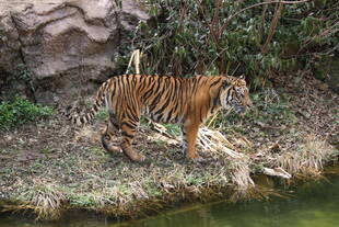 休園期間を利用して