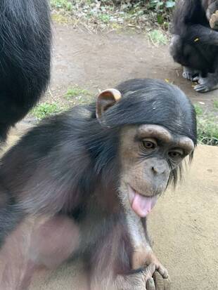 休園してますが・・・