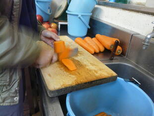 今日もトントン。