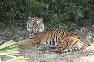 ラウトの状況-⑦