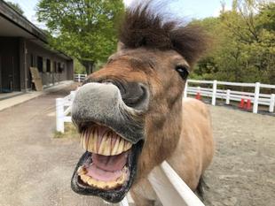 しんすけだって、とっておきタイム！！