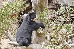 休園中の園内をご紹介③