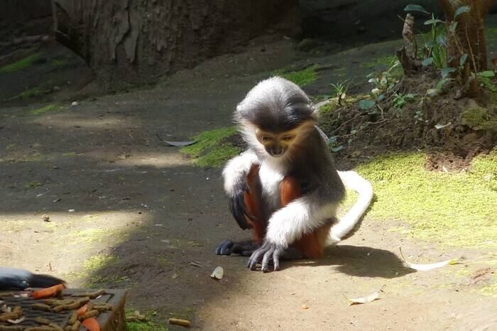 ちょっと進歩の写真
