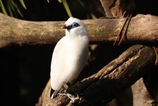 またまた新入り？！