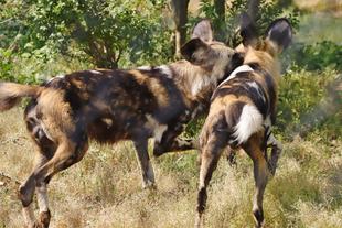 休園中の園内をご紹介⑦（最終回）