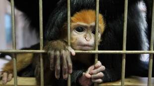 触りたい・・・②