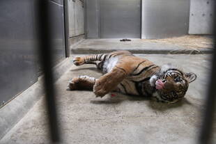 今月の測定結果は?