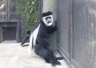 休園中の園内をご紹介⑤