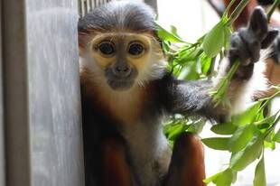 大きくなりました♪