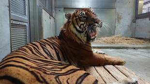 もう暑いのかな???