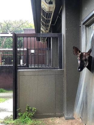 長い長い休園日・・・