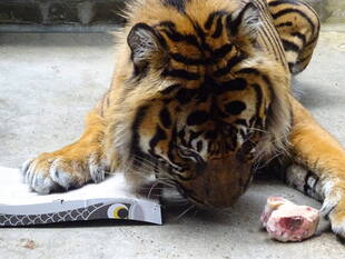 誕生日プレゼント！