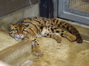 マリン、安らかに･･･