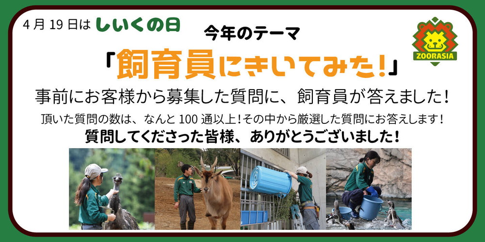 飼育員にきいてみよう!~その1~の写真