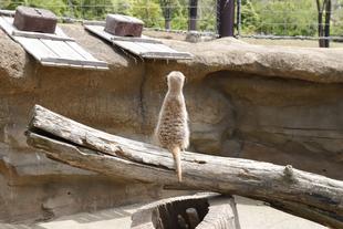 休園中の園内をご紹介⑥