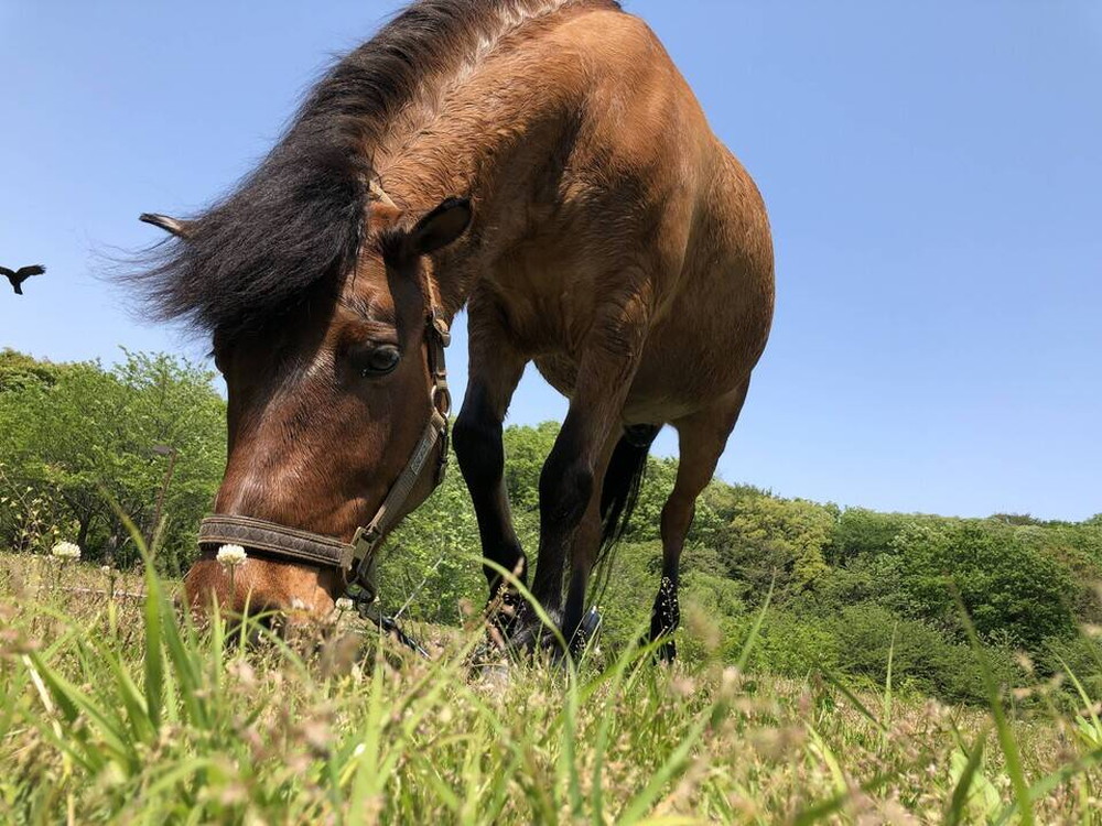 光翔のお昼休みに・・・。の写真