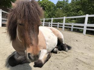 出会えた人は、ラッキー！