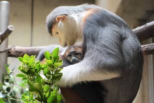 こちらでも！！