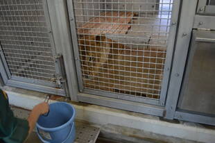 2年かけて、遂に・・！