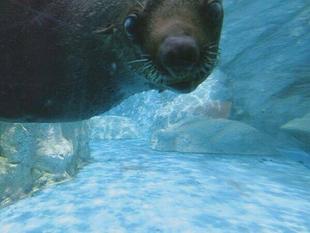 水の青に癒される。