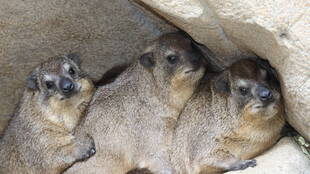 今日は何の日？