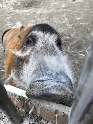 違いがわかりますか？？