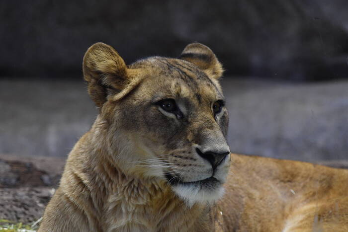 違いが　画像２