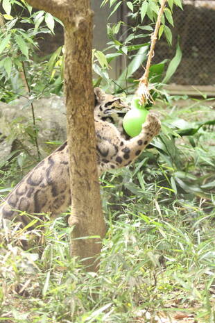 タヤも元気に過ごしてますよ～