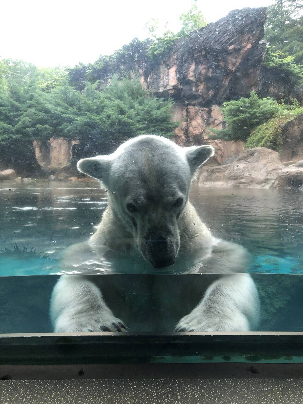 開園準備の写真