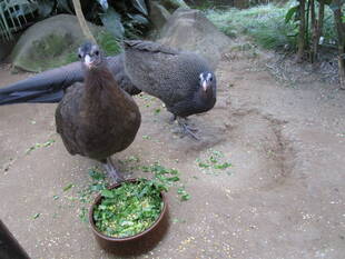 体重は？？(完結)