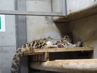 季節の変化に伴って・・・