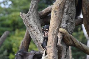 ハル、お誕生日おめでとう！