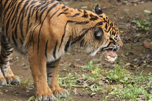 どこでかじろうかな？？