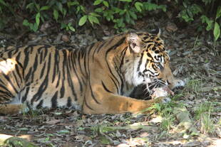 梅雨の晴れ間に・・・その①